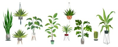 Sticker Pot plant set. Plants plastic decorative container and hanging styling indoor basket for potting tree vector collection