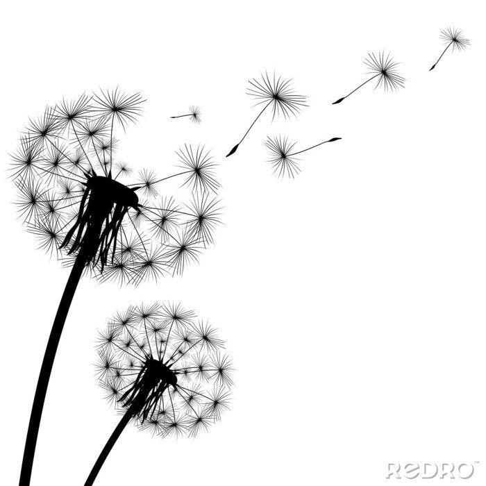 Sticker Pusteblume im Wind schwarz-weiße Grafik