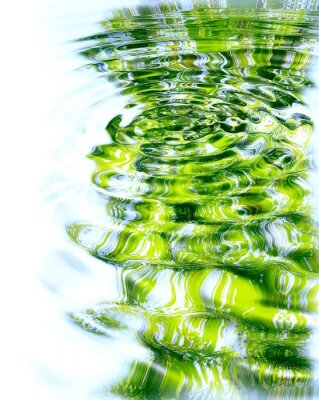 Sticker Reflexion der Wald und Sonne im Wasser.