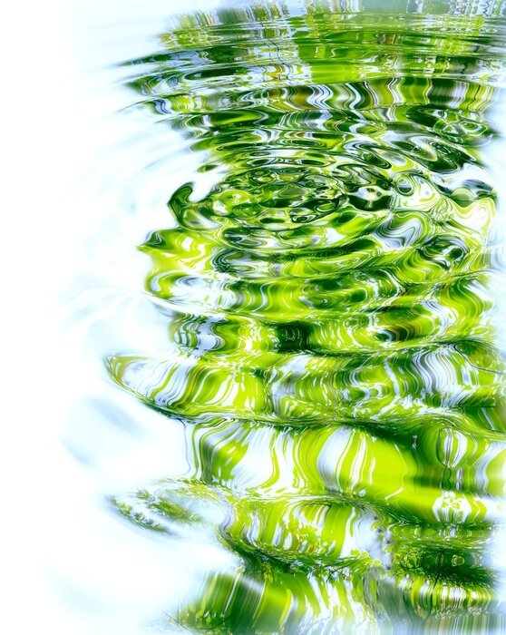 Sticker Reflexion der Wald und Sonne im Wasser.