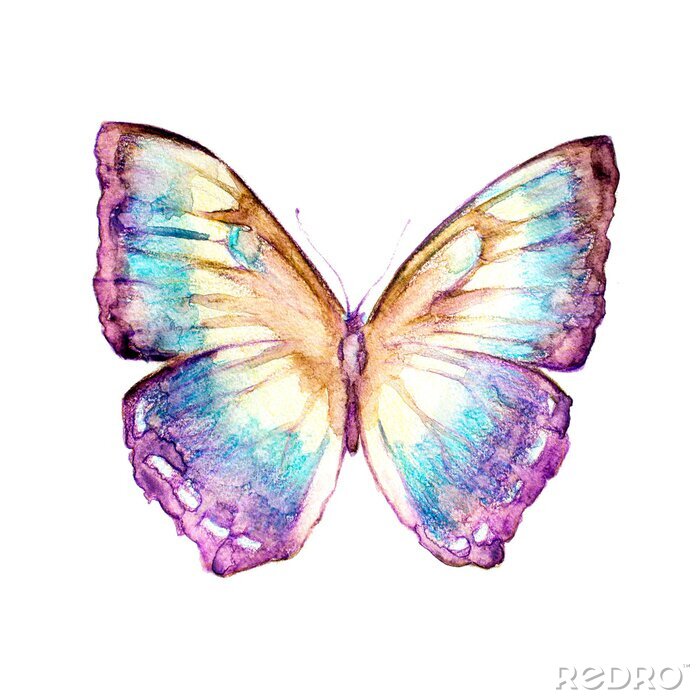 Sticker Regenbogen-Schmetterling in Pastelltönen nach Maß 