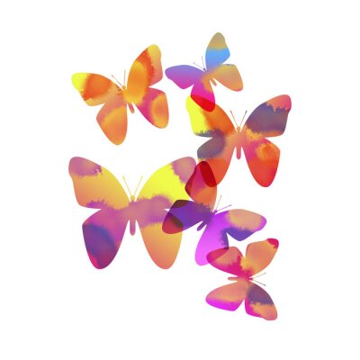 Sticker Regenbogen-Schmetterlinge auf weißem Hintergrund