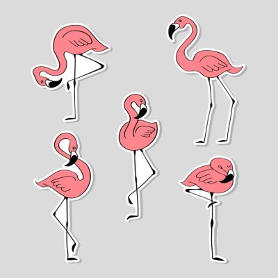 Sticker Reihe von Flamingos in verschiedenen Positionen