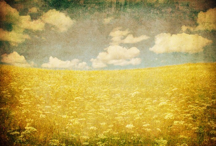 Sticker Retro-Stil blühende Wiese