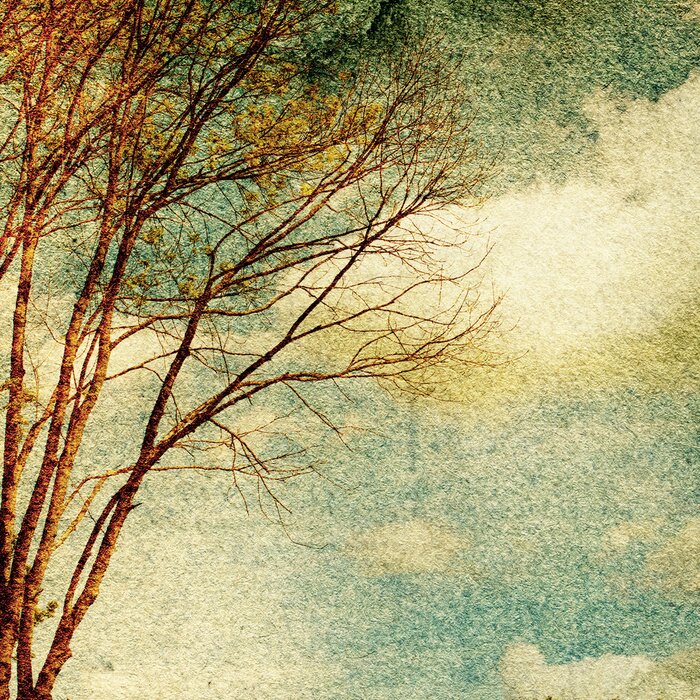 Sticker Retro-Stil in der Naturfotografie