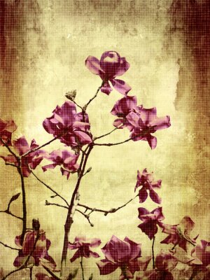 Retroviolette Blume auf gealtertem Hintergrund