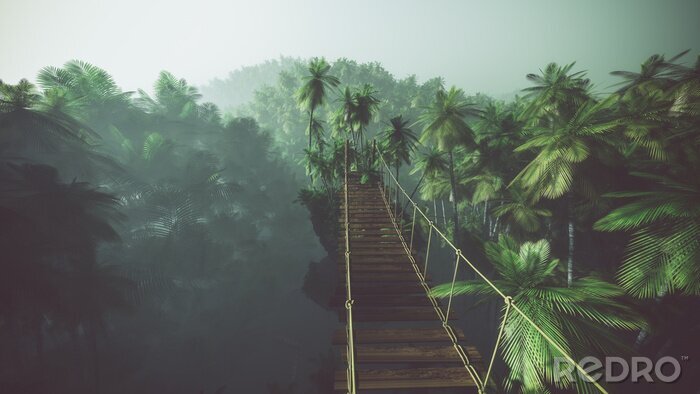 Sticker Rope bridge in misty jungle with palms. Backlit.
