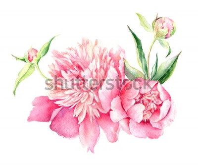 Sticker Rosa Blüten mit Knospen