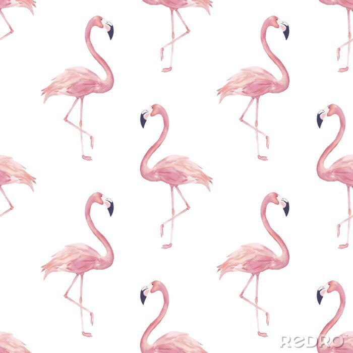 Sticker Rosa Flamingos auf weißem Hintergrund