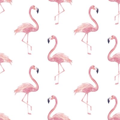 Tapete Rosa Flamingos auf weißem Hintergrund
