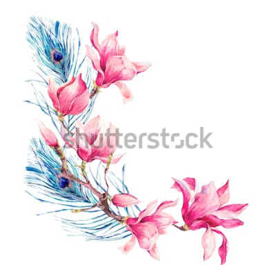 Sticker Rosa Magnolien und Pfauenfedern