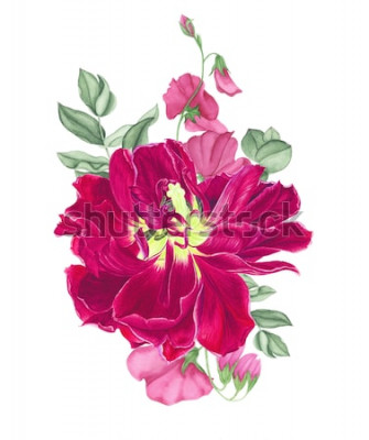 Sticker Rosa Tulpen mit Knospen