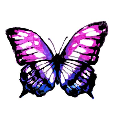 Sticker Rosa-violetter Schmetterling