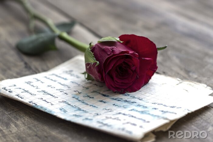 Sticker Rose auf einem Brief liegend