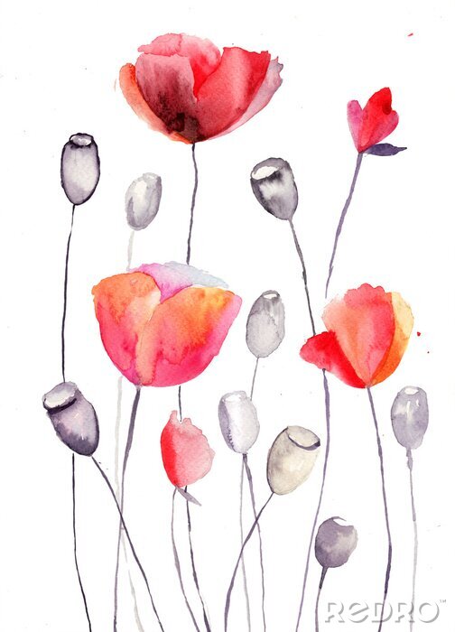 Sticker Rot schattierte Mohnblumen und Mohnköpfe