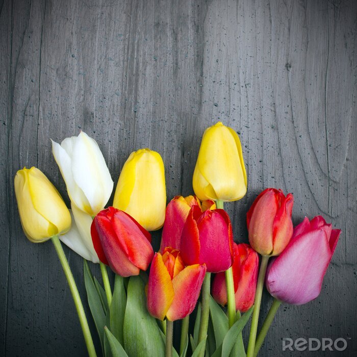 Sticker Rote  gelbe und weiße Tulpen