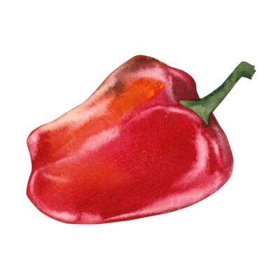 Sticker Rote Paprika mit Aquarellfarben gemalt