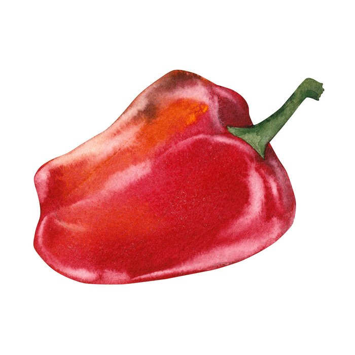 Sticker Rote Paprika mit Aquarellfarben gemalt