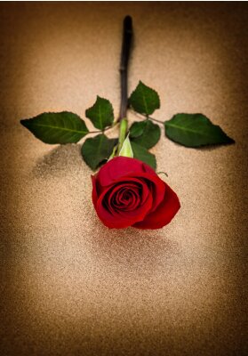 Sticker Rote Rose auf goldenem Untergrund