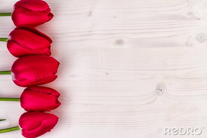 Sticker Rote Tulpen auf einem weißen Brett
