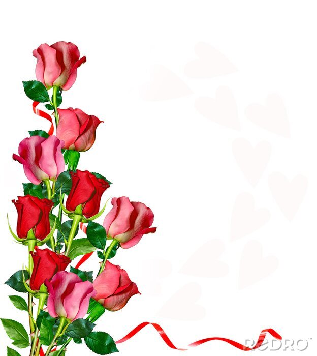 Sticker Rote und rosa Rosen in einem Strauß