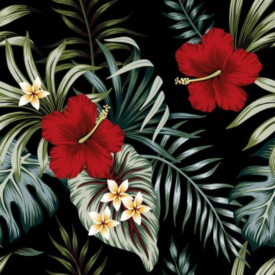 Rote und weiße Blüten mit tropischen Blättern