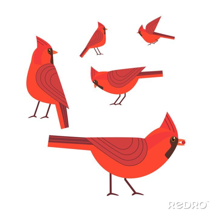 Sticker Rote Vögel auf weißem Hintergrund