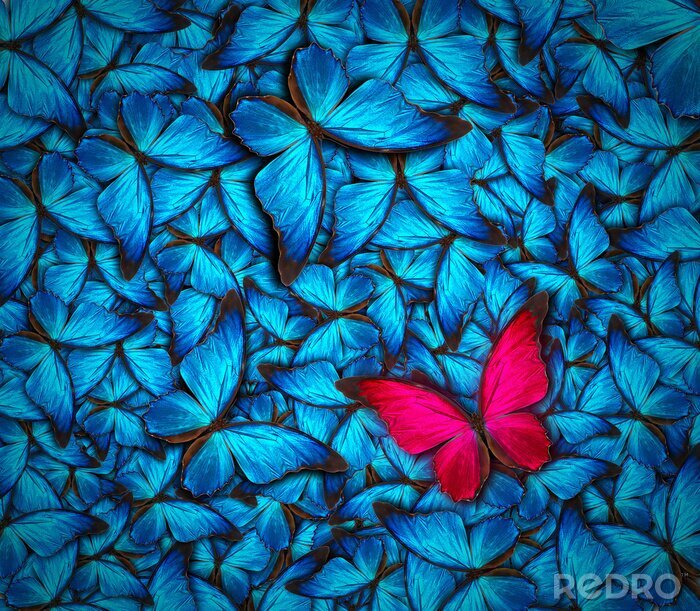 Sticker roter Schmetterling unter blauen Insekten