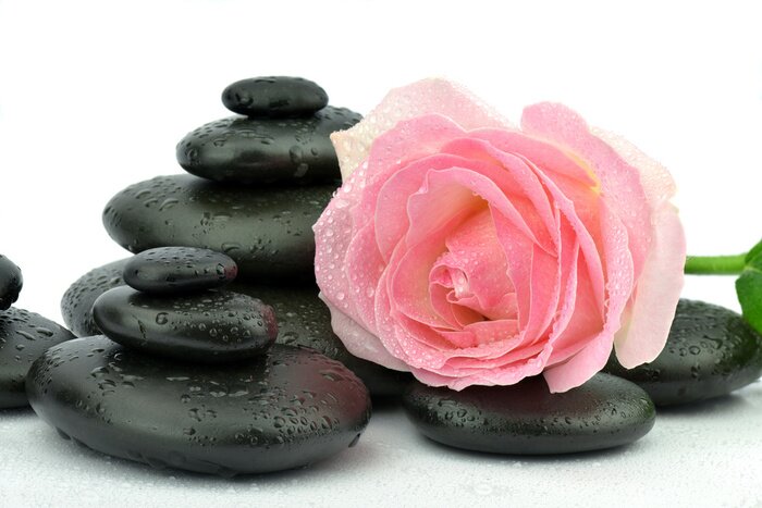 Sticker Róża na kamieniach tun spa