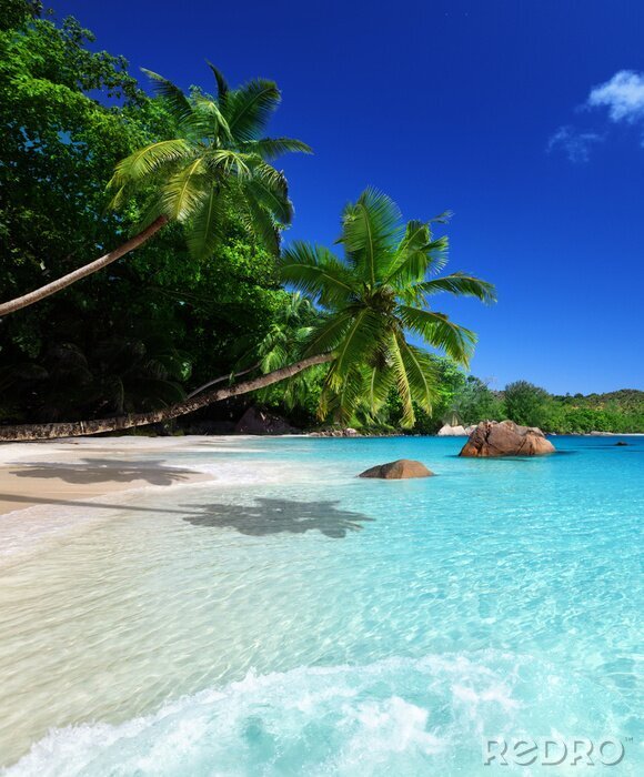 Sticker Ruhige Meereslandschaft des goldenen Strandes