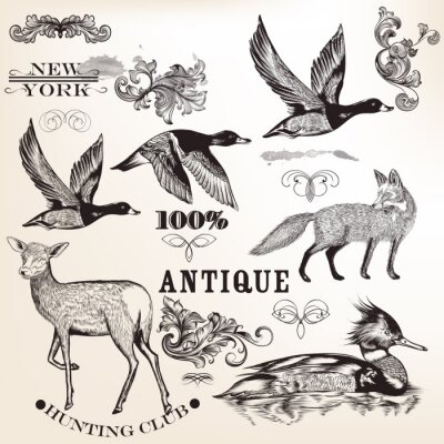 Sticker Sammlung von Vektor Hand gezeichnete Tiere und Schnörkel