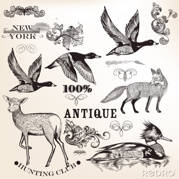 Sticker Sammlung von Vektor Hand gezeichnete Tiere und Schnörkel