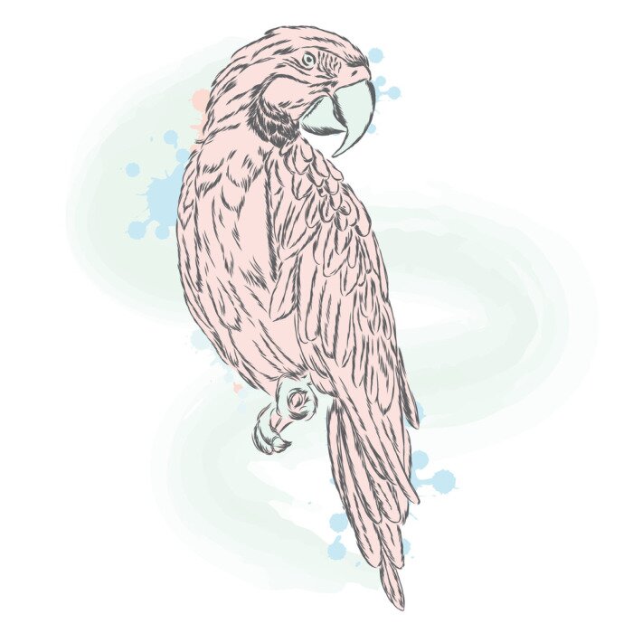 Sticker Sanfter Papageien-Vektor. Trendige Farbtöne.