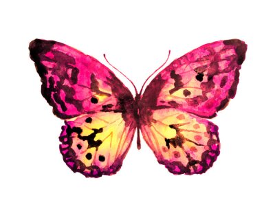 Sticker sanfter Schmetterling auf weißem Hintergrund