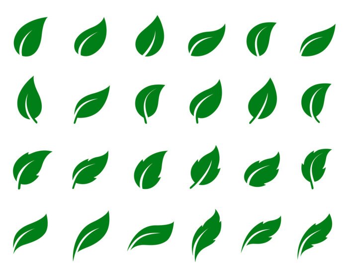 Sticker Satz von Blatt-Icons