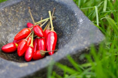 Sticker Scharfe Paprikaschoten in einer Steinschale