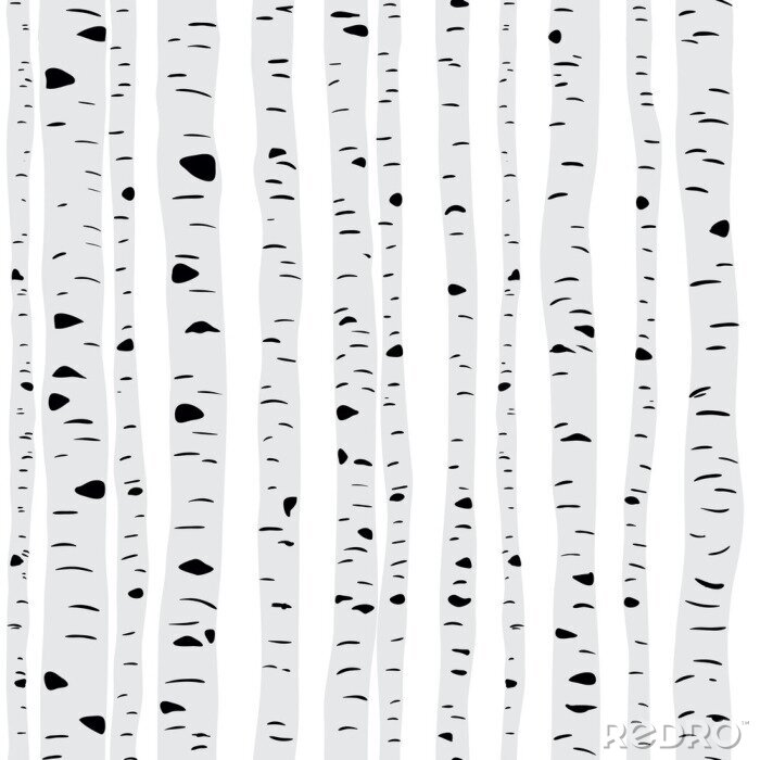 Sticker Schlanke Birken auf hellem Hintergrund