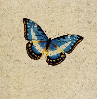 Sticker Schmetterling auf beigem Hintergrund