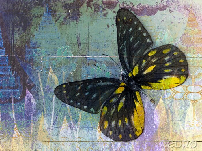 Sticker Schmetterling auf einem gealterten Hintergrund