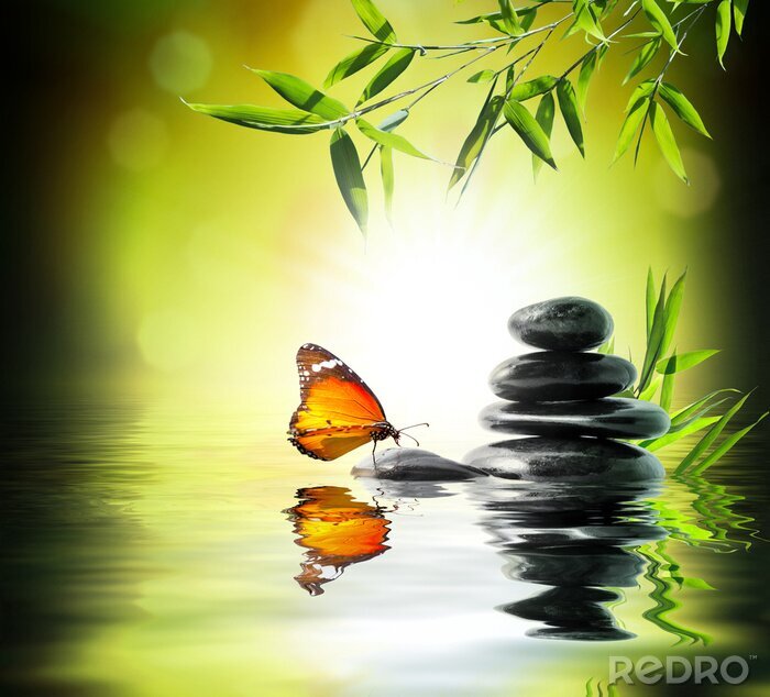 Sticker Schmetterling auf einem Stein im Wasser