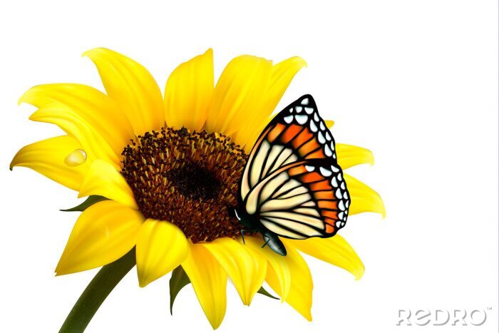Sticker Schmetterling auf einer Sonnenblume