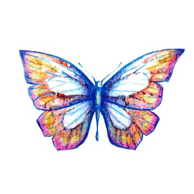 Sticker Schmetterling mit pastellfarbenen Flügeln