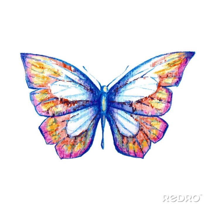 Sticker Schmetterling mit pastellfarbenen Flügeln
