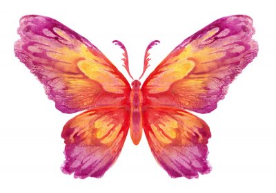 Sticker Schmetterling-Muster mit warmen Farben