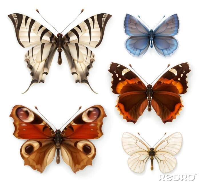 Sticker Schmetterlinge 3D auf leerem Hintergrund