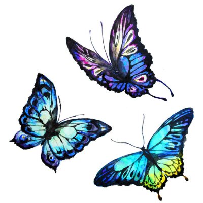 Sticker Schmetterlinge Blau Drei