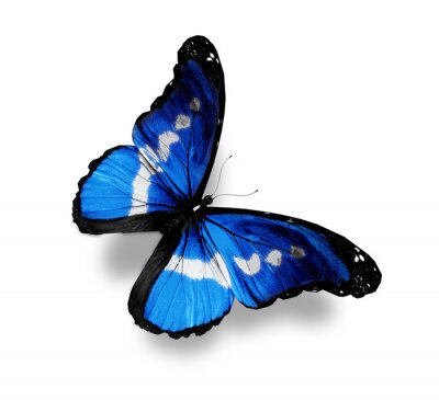 Sticker Schmetterlinge Blau mit weißen Punkten