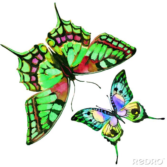 Sticker Schmetterlinge Design