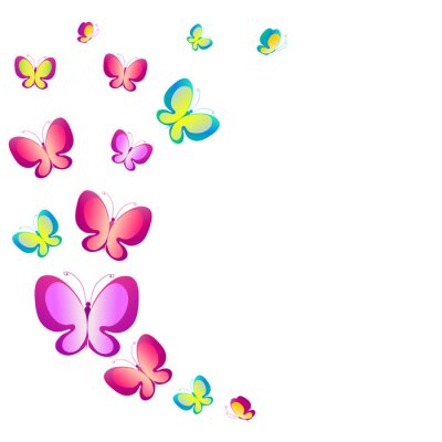 Schmetterlinge in verschiedenen Farbschattierungen