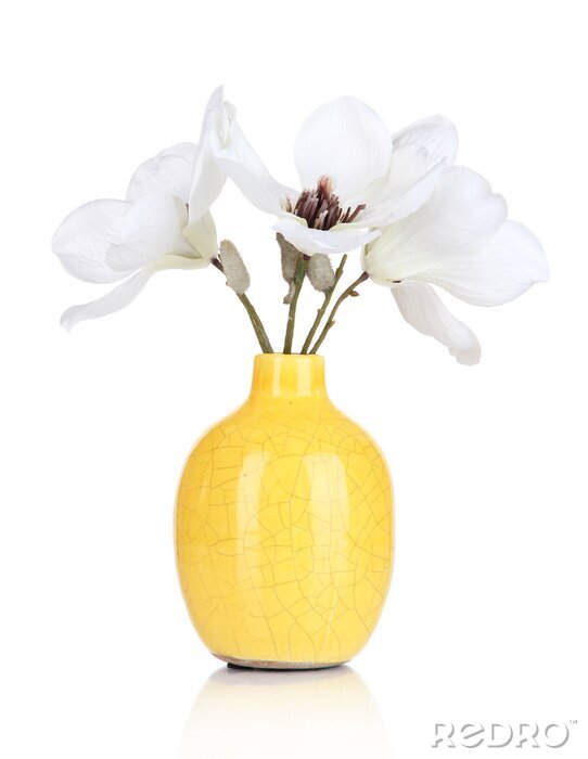 Sticker Schönen Magnolien in Vase isoliert auf weiß